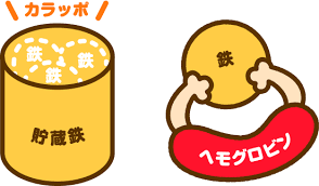 images (7)