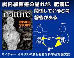images (15)