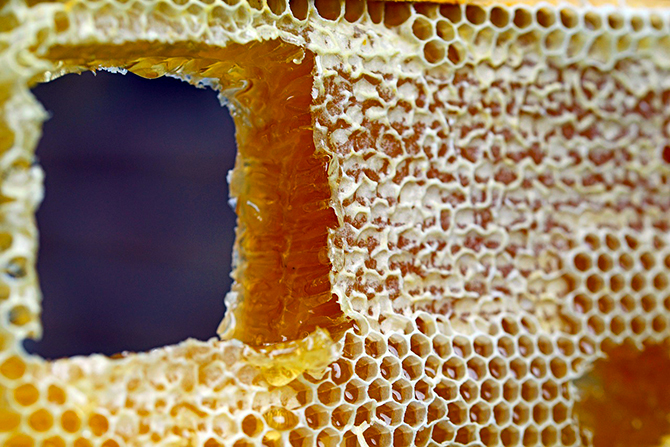 マヌカの蜂蜜、レンゲのハチミツ、アカシアの蜂蜜など、その使う目的と選び方は